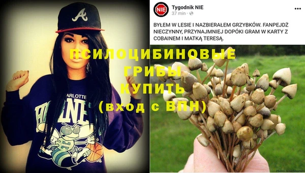 спайс Абдулино