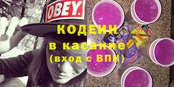 хмурый Сатка
