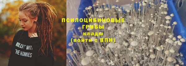 хмурый Сатка